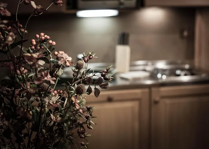 Checrouit شقة فندقية