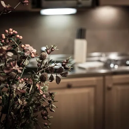 Checrouit Hotel apartamentowy